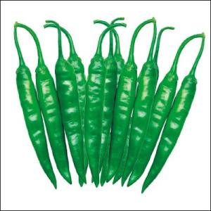 ()青唐辛子　１ｋｇ　＜韓国食品・韓国食材＞韓国とうがらし