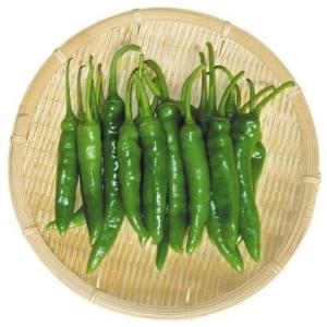 [韓国直輸入]辛い青唐辛子　1kg（韓国食品、野菜）