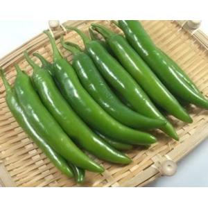 [韓国直輸入]辛い青唐辛子　500g（韓国食品、野菜）