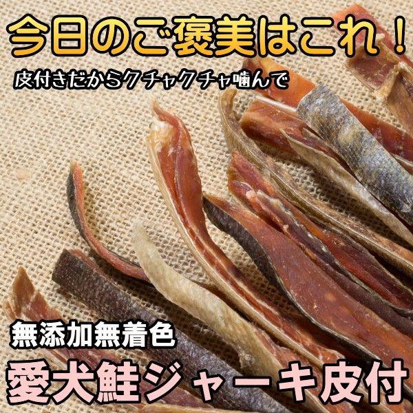 犬 おやつ 無塩鮭ジャーキ皮付 １７５g×５袋　 無添加無着色　北海道産　【まとめ割】