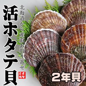 活ホタテ貝（2年貝）5kg　（送料込）北海道産直　12月１０日より出荷　｜sinsen-net