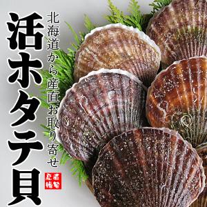 北海道　活ほたて 3年貝 3.0kg 送料込