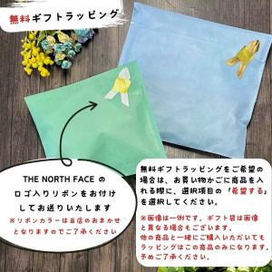抱っこ紐 ザ・ノース・フェイス NMB8235...の詳細画像5