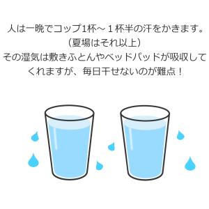 除湿シート シングル用 西川 ニューからっと寝...の詳細画像1