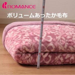 新品 毛布 アクリル 2枚合わせ毛布 シングル あったか ボリューム毛布 高級あったかアクリル2枚合わせ毛布 衿付き ダブル 180×210cm D 日本製