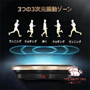 メーカー振動マシン 2024最新 3D ダイエ...の詳細画像2