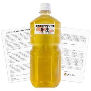 グッピー メダカ の商品一覧 生き物 生体 ペット用品 生き物 通販 Yahoo ショッピング