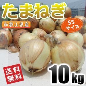 たまねぎ 和歌山県産 10kg SSサイズ 秀品 送料無料(北海道、沖縄県除く) 玉ねぎ 玉葱 小玉｜siosaiy