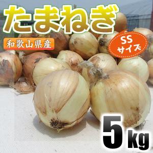 たまねぎ 和歌山県産 5kg SSサイズ 秀品 玉ねぎ 玉葱 小玉｜siosaiy