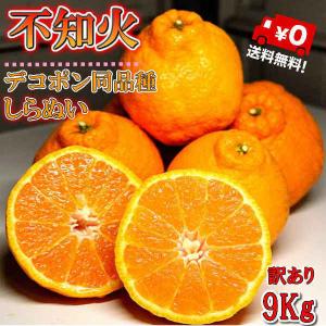 デコポン オレンジ 不知火 (デコポン同品種) 訳あり 9kg 和歌山県産 送料無料(北海道 、沖縄県、東北地方除く) デコポン ご自宅用