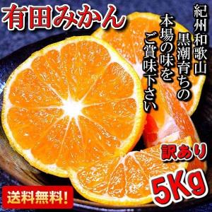 有田みかん 訳あり 5kg 和歌山県産 送料無料(北海道、沖縄県、東北地方除く) ミカン みかん 蜜柑 温州みかん ご自宅用 家庭用 柑橘 産地直送