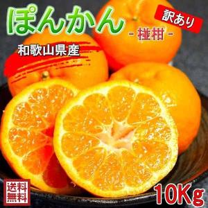 ポンカン 訳あり 10kg 和歌山県産 送料無料(北海道、沖縄県、東北地方除く) ぽんかん 椪柑 ご自宅用