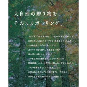 【白神屋/送料無料】白神山水 2L×9本 秋田...の詳細画像4