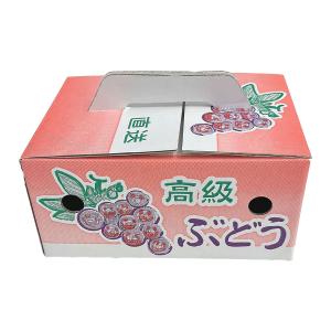 ぶどうの箱 「ぶどう1kg用手提げ箱 50枚入...の詳細画像3