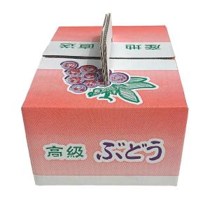 ぶどうの箱 「ぶどう1kg用手提げ箱 50枚入...の詳細画像4