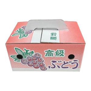 ぶどうの箱 「ぶどう1kg用手提げ箱 50枚入...の詳細画像5
