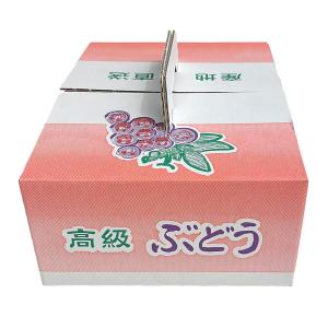 ぶどうの箱 「ぶどう2kg用手提げ箱 50枚入...の詳細画像4