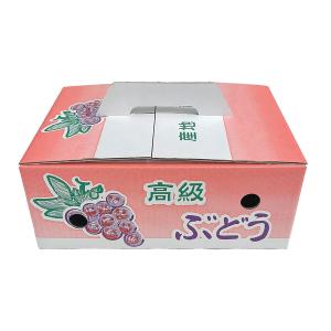 ぶどうの箱 「ぶどう2kg用手提げ箱 50枚入...の詳細画像5