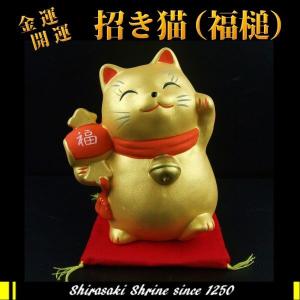 金運財運UP 風水金運招き猫 福槌白崎八幡宮で祈願済み...