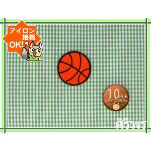 アイロンワッペン/刺繍/アップリケ/バスケットボールs/10枚セット