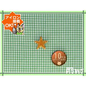 アイロンワッペン/刺繍/アップリケ/プチスター/...の商品画像
