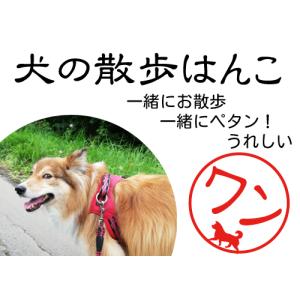 犬の散歩はんこ ブラック11ブライト シャチハ...の詳細画像1
