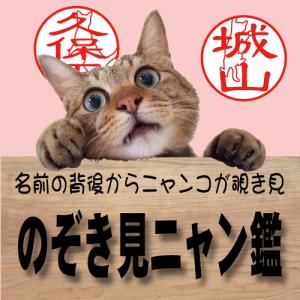 のぞき見ニャン鑑 印鑑 はんこ 猫 オーダー ...の詳細画像1