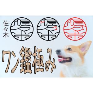 ワン鑑極み ネーム9ヴィーボレザーセレクション...の詳細画像1