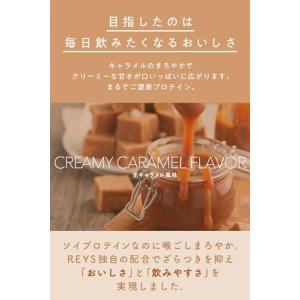 REYS レイズ ソイ プロテイン 山澤 礼明...の詳細画像1