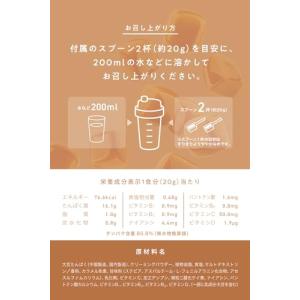 REYS レイズ ソイ プロテイン 山澤 礼明...の詳細画像3