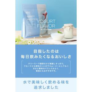 REYS レイズ ホエイ プロテイン 山澤 礼...の詳細画像2