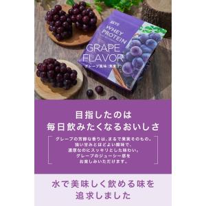 REYS レイズ ホエイ プロテイン 山澤 礼...の詳細画像2