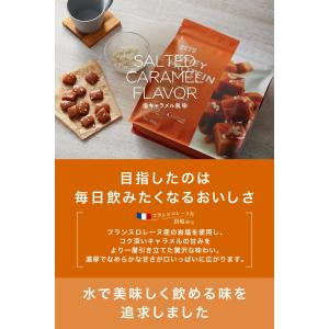 REYS レイズ ホエイ プロテイン 山澤 礼...の詳細画像2