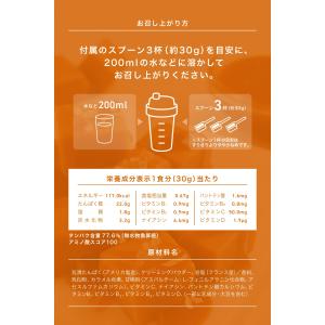 REYS レイズ ホエイ プロテイン 山澤 礼...の詳細画像5