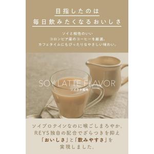 REYS レイズ ソイ プロテイン 山澤 礼明...の詳細画像2
