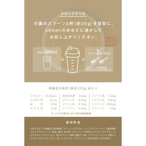 REYS レイズ ソイ プロテイン 山澤 礼明...の詳細画像5