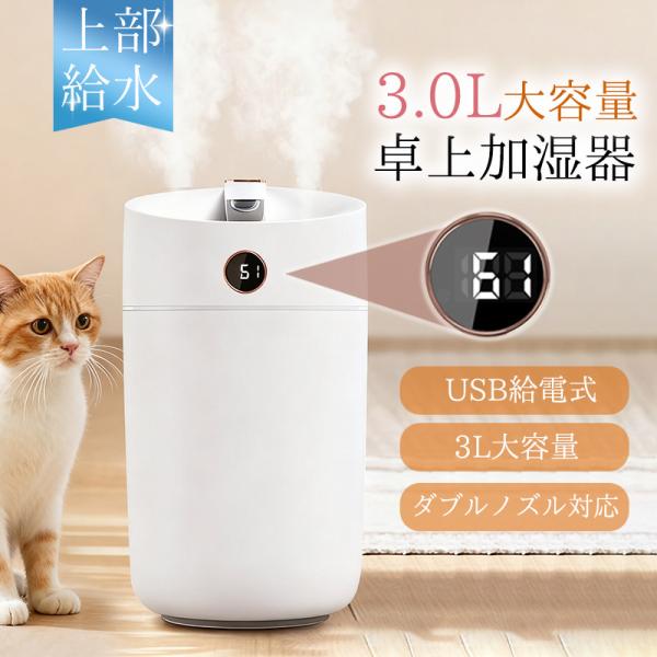 加湿器 大容量 3L 卓上 超音波式 卓上加湿器 かしつき ダブル噴霧 静音 部屋 寝室 乾燥対策 ...