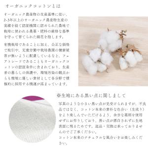 風呂敷 大判 100センチ むす美 ひめむすび...の詳細画像3