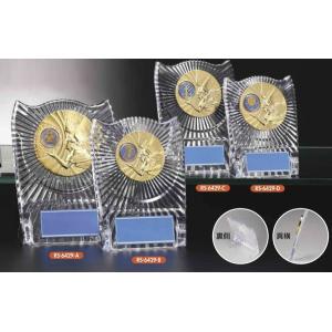 オールペイントシリーズ（レリーフ選択）RS-6429-C 利用で更にお得に！