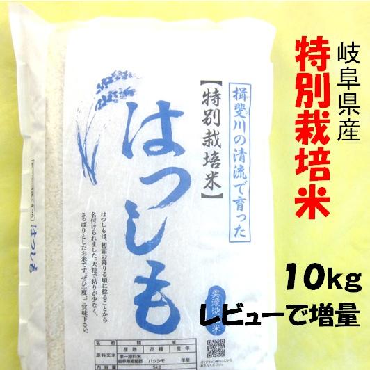 令和７年産 お米 特別栽培米 岐阜県産 ハツシモ 白米10Kg（分搗き可）レビューで増量 【送料無料...