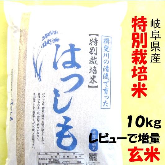 令和７年産 お米 特別栽培米 岐阜県産 ハツシモ 玄米10Kg（レビューで増量） 【送料無料】北海道...