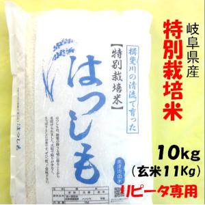 ハツシモ 令和7年産 お米 特別栽培米 岐阜県産 玄米10Kg（レビューで
