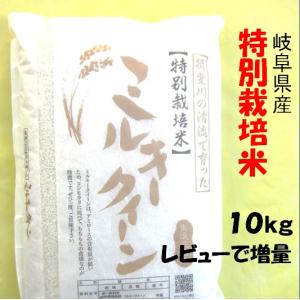 令和５年産 特別栽培米 岐阜県産 ミルキークイーン 白米10Kg（分搗き可）レビューで増量 【送料無料】北海道・沖縄・離島は追加送料｜sirotori-f