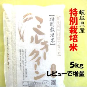 ハツシモ 令和7年産 お米 特別栽培米 岐阜県産 玄米5Kg（レビューで