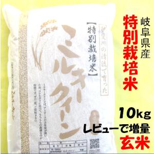 ハツシモ 令和7年産 お米 特別栽培米 岐阜県産 玄米30Kg（10kg×3）分