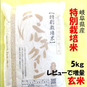 ハツシモ 令和7年産 お米 特別栽培米 岐阜県産 玄米5Kg（レビューで