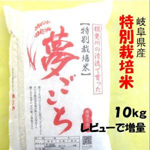 ハツシモ 令和7年産 お米 特別栽培米 岐阜県産 玄米30Kg（10kg×3）分
