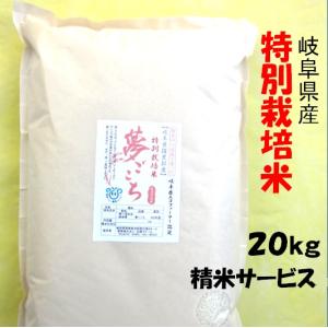ハツシモ 令和7年産 お米 特別栽培米 岐阜県産 玄米10Kg（レビューで