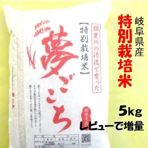 ハツシモ 令和7年産 お米 特別栽培米 岐阜県産 玄米10Kg（レビューで