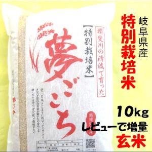 ハツシモ 令和7年産 お米 特別栽培米 岐阜県産 玄米30Kg（10kg×3）分 